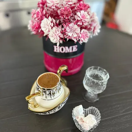 Sürücü